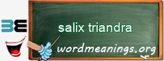 WordMeaning blackboard for salix triandra